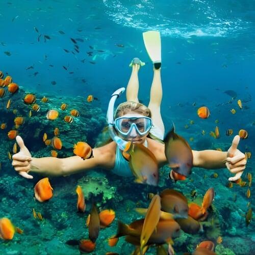 Travel activities and events planned by Jacksonville travel advisor